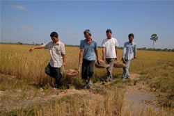 Farmers at work