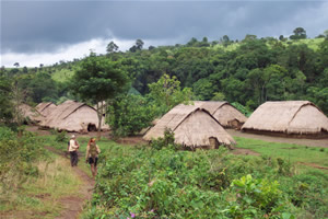 A Bunong Village
